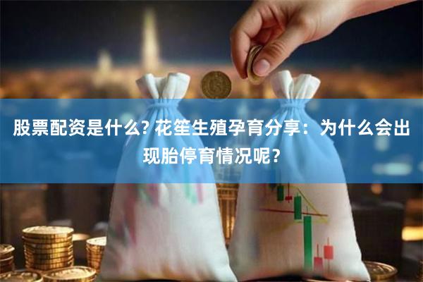 股票配资是什么? 花笙生殖孕育分享：为什么会出现胎停育情况呢？